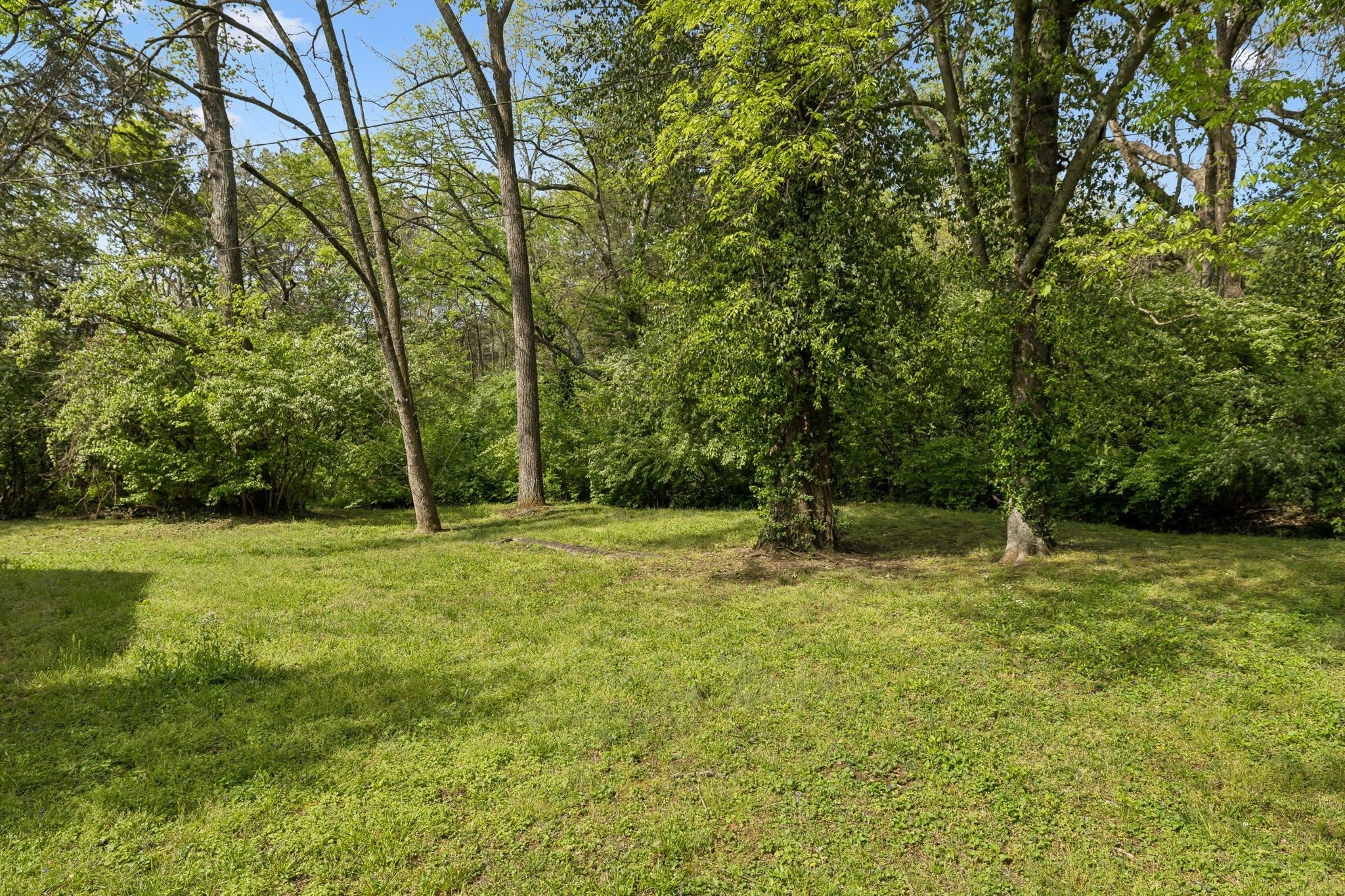 Wooded backyard on the 0.68 acre lot at 1307 Old Hickory Boulevard, Brentwood TN